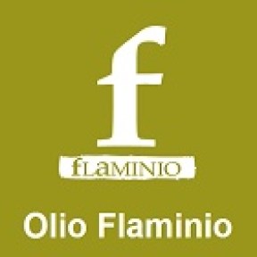 fLaMINIOLOGO.jpg